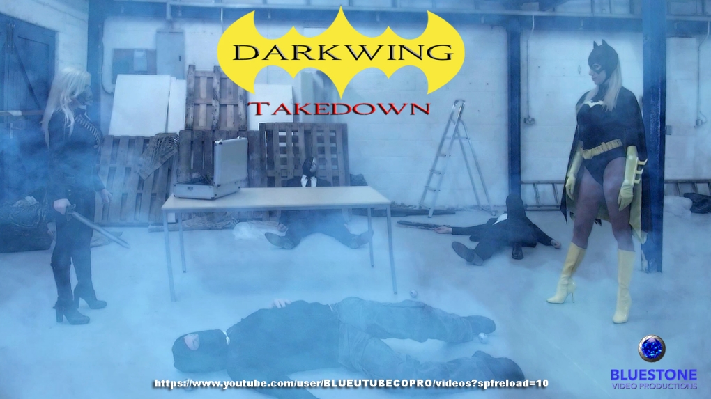 Darkwing Takedown still 8sm.jpg
