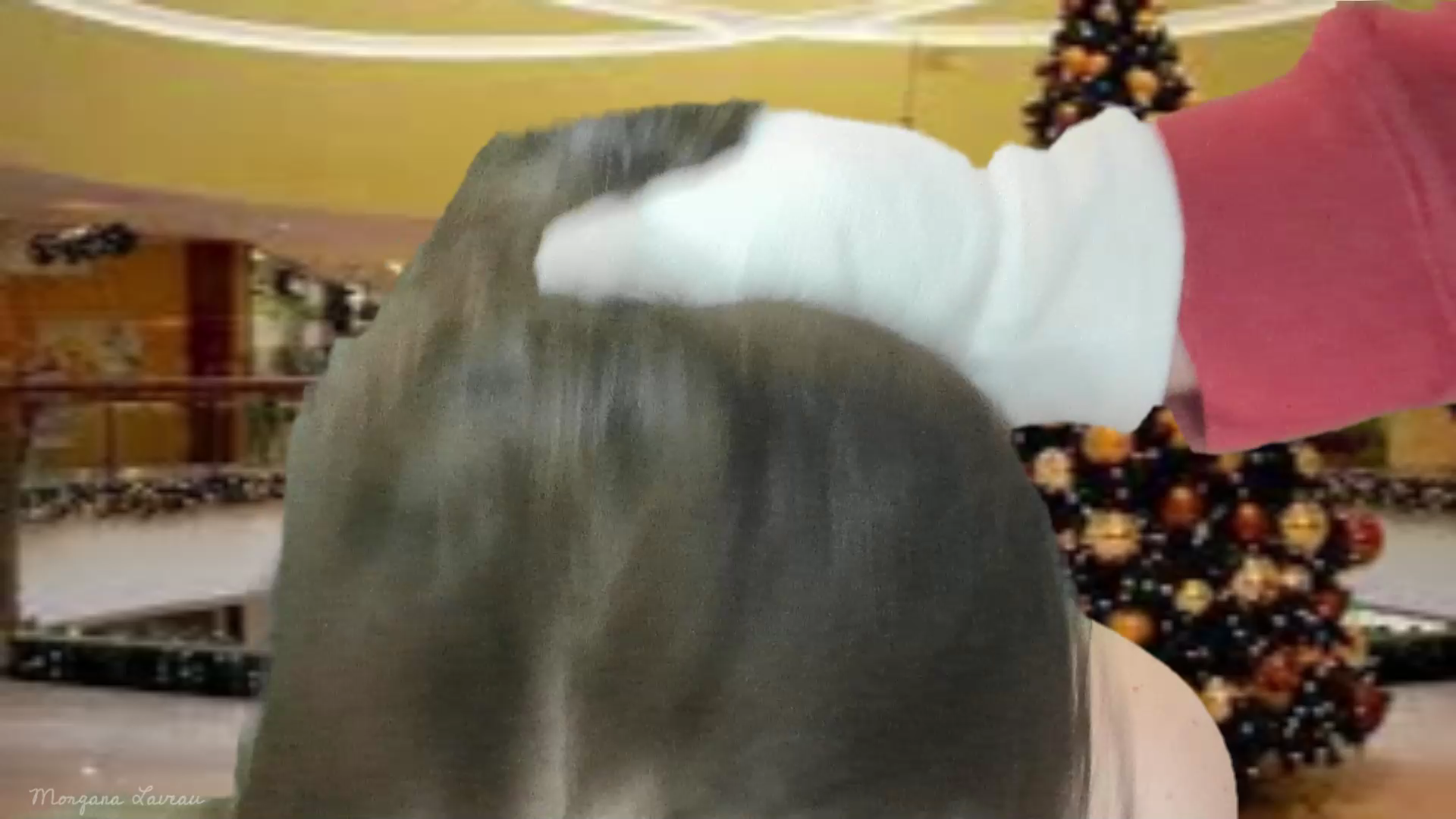 Santa Freezes Lady Hawk-0025.png
