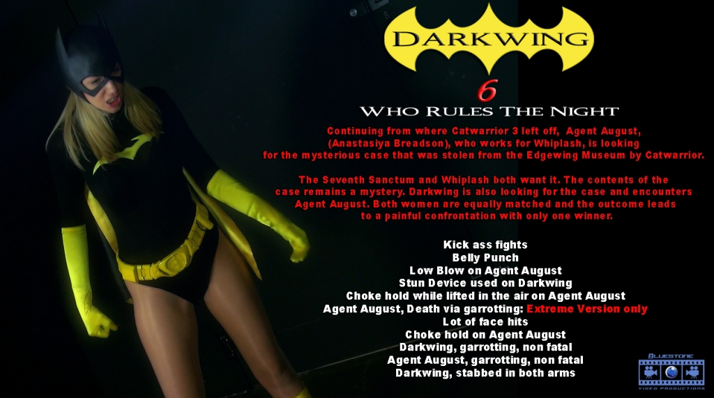 Darkwing 6- who rules the night poster-sm.jpg