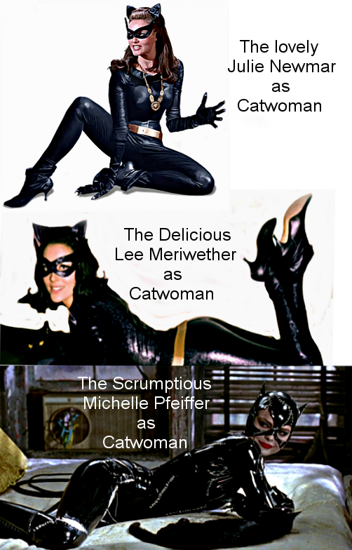 Hot Women in Bodysuits DC Catwoman.png